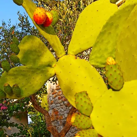 Lodge Dimora&pool Gerardo