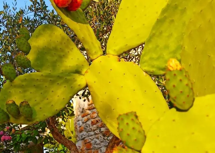 אכסניה Dimora&pool Gerardo