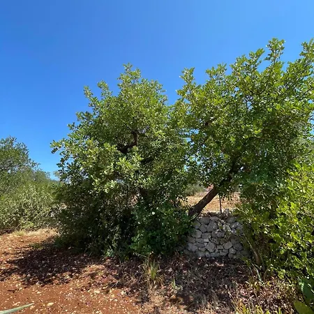 אכסניה Dimora&pool Gerardo