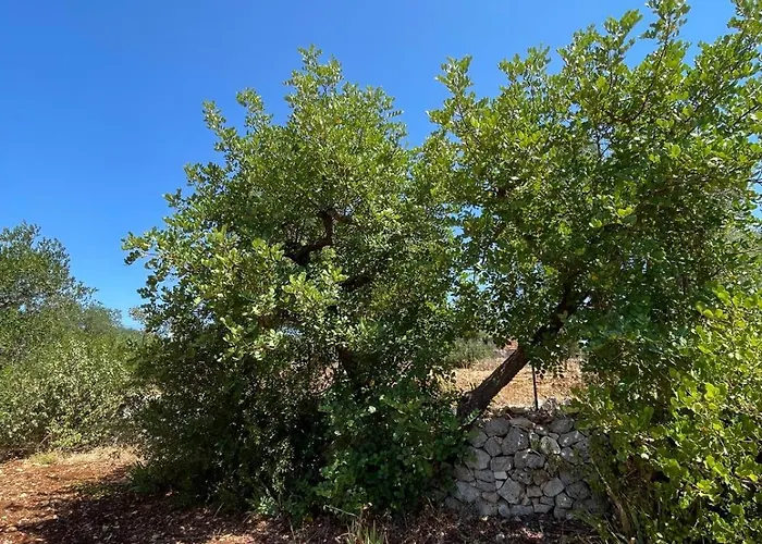 Lodge Dimora&pool Gerardo